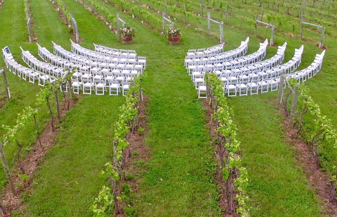 Chairs in between the vines